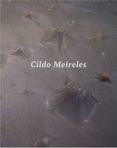 Stock image for Cildo Meireles for sale by Okmhistoire