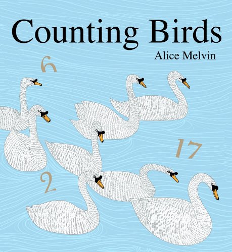 9781854378552: Counting Birds: Alice Melvin (E)