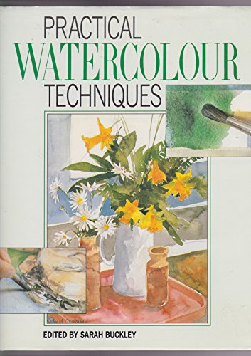 Stock image for Practical Watercolour Techniques (A Quintet book) for sale by AwesomeBooks