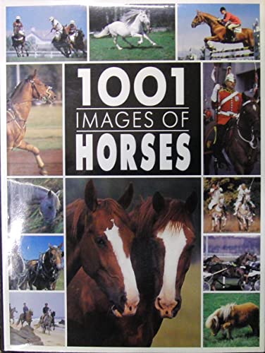 Beispielbild fr 1001 Images of Horses (1001 Images S.) zum Verkauf von WorldofBooks