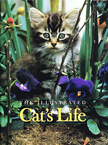 Imagen de archivo de Illustrated Cat's Life a la venta por Better World Books