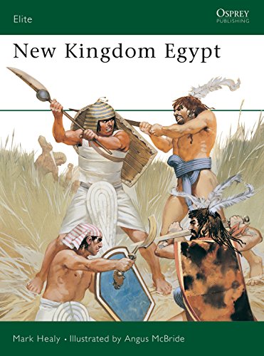 9781855322080: New Kingdom Egypt (Elite, 40)