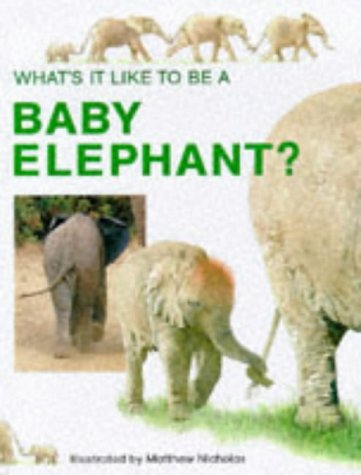 Baby Elephant (What's It Like to Be A...?) (9781855617629) by Honor Head