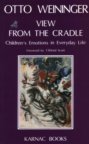 Beispielbild fr View from the Cradle: Children's Emotions in Everyday Life zum Verkauf von WorldofBooks