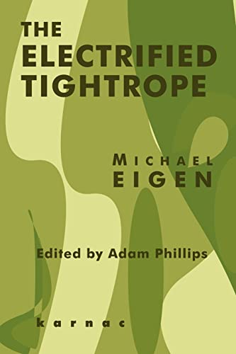 9781855753969: The Electrified Tightrope