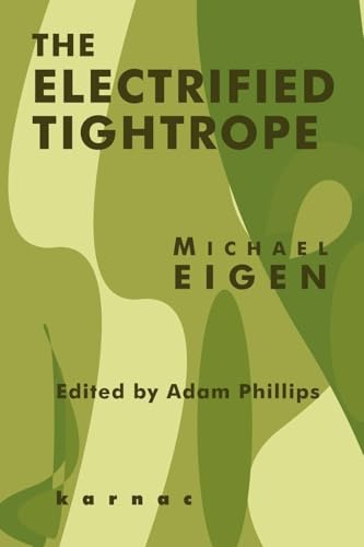 Imagen de archivo de The Electrified Tightrope a la venta por Russian Hill Bookstore