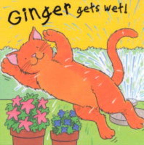 Stock image for Ginger Gets Wet (Pat the Pet) for sale by AwesomeBooks