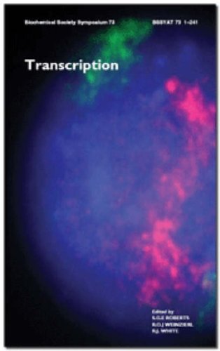 Beispielbild fr Transcription. Biochemical Society Symposium No 73 zum Verkauf von Zubal-Books, Since 1961