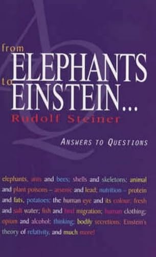 FROM ELEPHANTS TO EINSTEIN: Answers To Questions