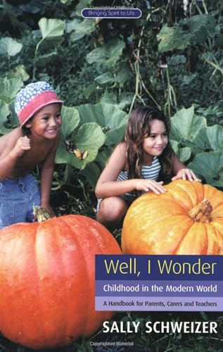 9781855841246: Well I Wonder: Childhood in the Modern World, a Handbook for Parents, Teachers and Carers (Bringing Spirit to Life)