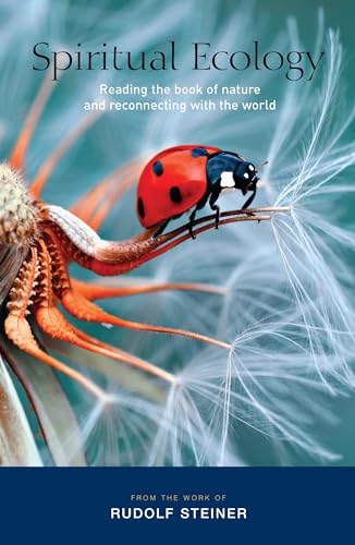 Stock image for Spiritual Ecology: Reading the Book of Nature and Reconnecting with the World for sale by Chiron Media
