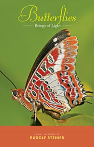 Stock image for Butterflies for sale by Blackwell's