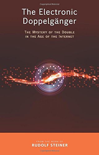 9781855845251: The Electronic Doppelganger: The Mystery of the Double in the Age of the Internet