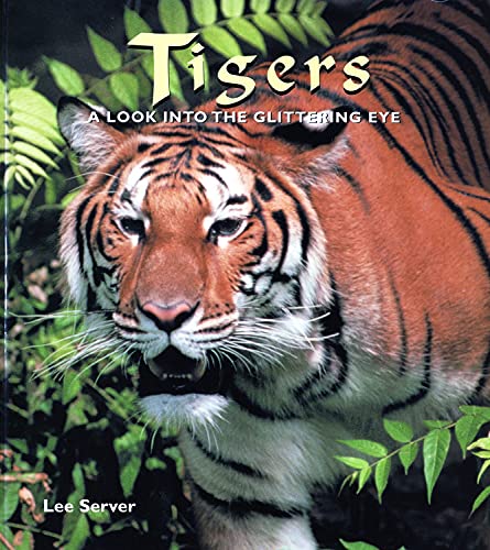 Stock image for Tigers: A Look into the Glittering Eye for sale by WorldofBooks