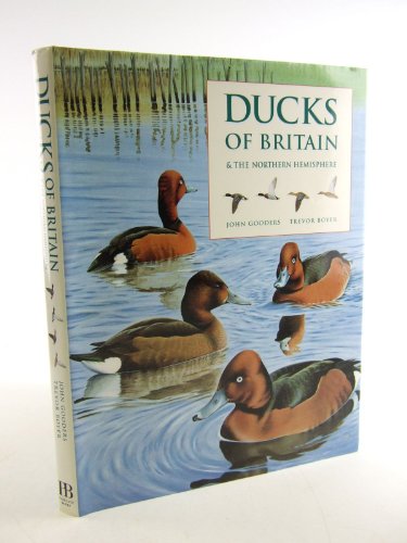 Stock image for Ducks of Britain and the Northern Hemisphere for sale by WorldofBooks