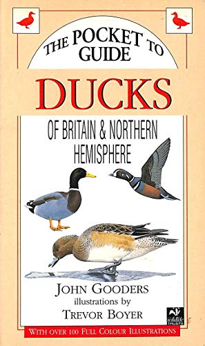 Beispielbild fr Ducks of Britain and the Northern Hemisphere zum Verkauf von WorldofBooks