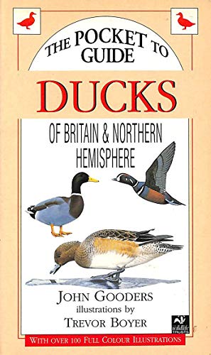 9781855855793: Ducks of Britain and the Northern Hemisphere (Pocket Guide)