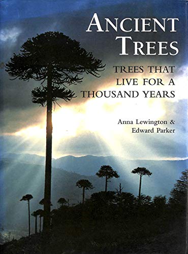 Beispielbild fr ANCIENT TREES zum Verkauf von AwesomeBooks