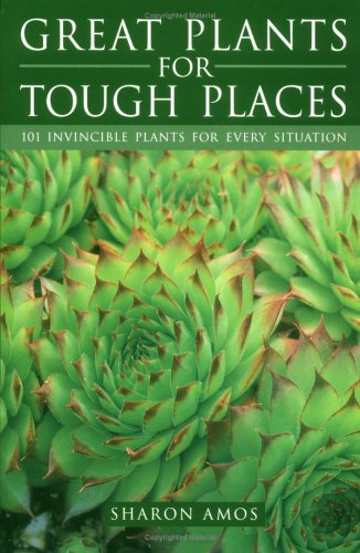 Beispielbild fr Great Plants for Tough Places zum Verkauf von WorldofBooks