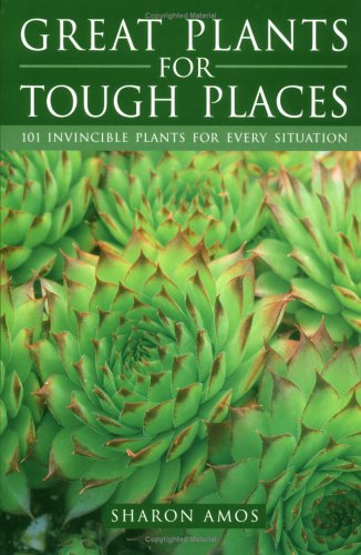 Stock image for Great plants for tough places : 101 invincible Plants for Every Situation for sale by Simply Read Books