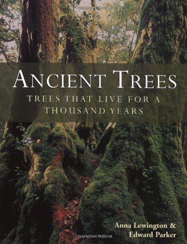 9781855859746: ANCIENT TREES: Trees That Live for 1000 Years