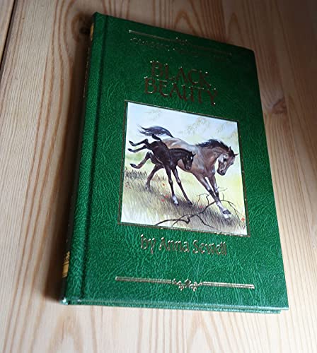 Stock image for Black Beauty (Classic adventures) for sale by WorldofBooks