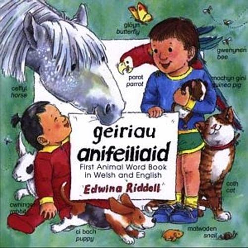 Beispielbild fr Geiriau Anifeiliaid - First Animal Word Book in Welsh and English zum Verkauf von Reuseabook