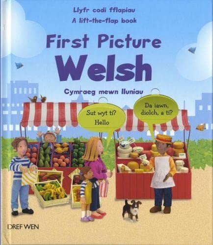 Beispielbild fr First Picture Welsh/Cymraeg Mewn Lluniau zum Verkauf von Goldstone Books
