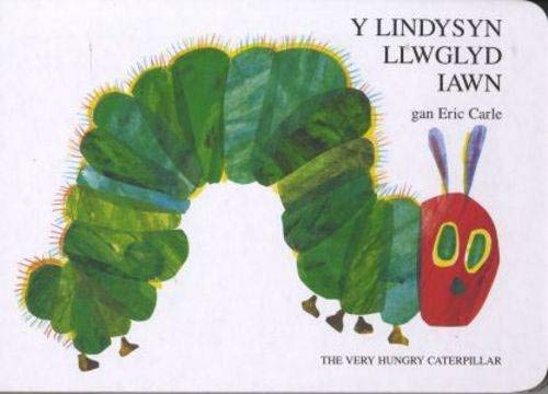 Stock image for Lindysyn Llwglyd Iawn, Y / Very Hungry Caterpillar, The for sale by WorldofBooks