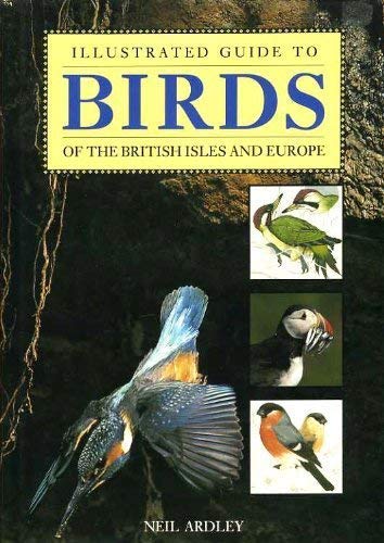 Stock image for Birds and Birdwatching (Illustrated Guide) for sale by AwesomeBooks