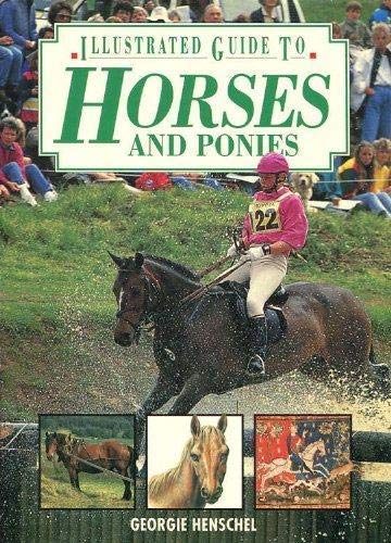 Stock image for Horses and Ponies (Illustrated Guide) for sale by AwesomeBooks