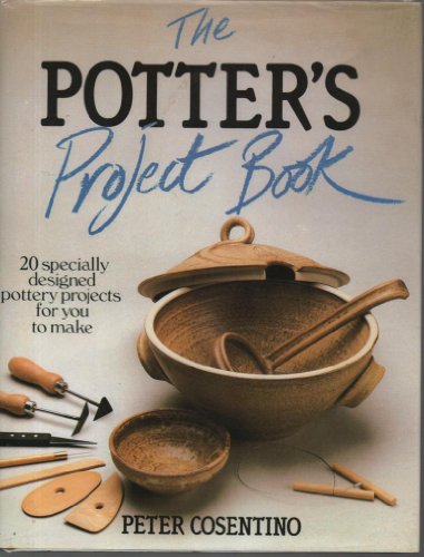 Imagen de archivo de The Potter's Project Book a la venta por AwesomeBooks