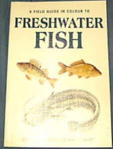 Stock image for Freshwater Fish for sale by WorldofBooks
