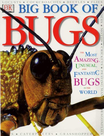 Beispielbild fr Big Book of Bugs zum Verkauf von WorldofBooks