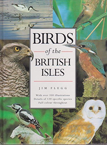 Stock image for Birds of the British Isles for sale by Aynam Book Disposals (ABD)
