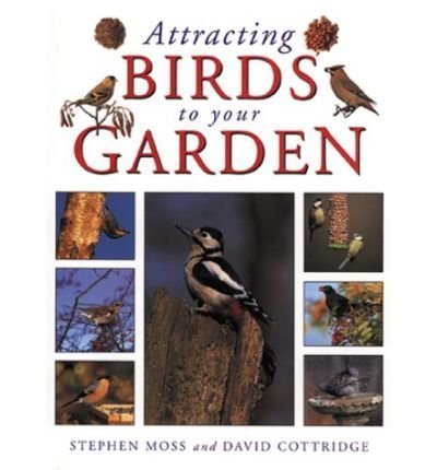 9781856058452: Attracting Birds to Your Garden