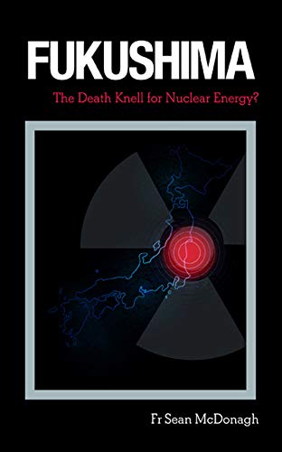 Beispielbild fr Fukushima: The Death Knell for Nuclear Energy? zum Verkauf von WorldofBooks