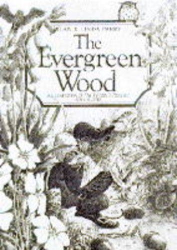 9781856081450: The Evergreen Wood