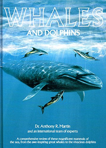 Stock image for Whales And Dolphins : for sale by AwesomeBooks
