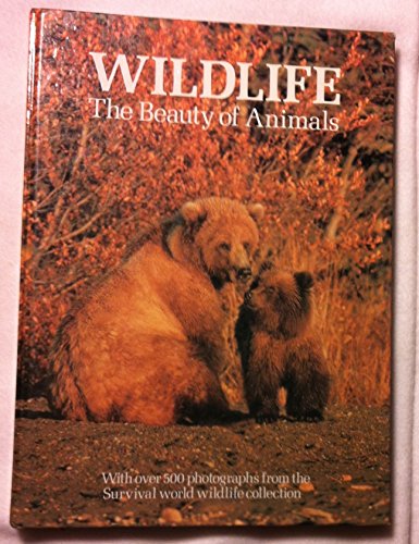 Beispielbild fr Wildlife the Beauty of Animals zum Verkauf von WorldofBooks