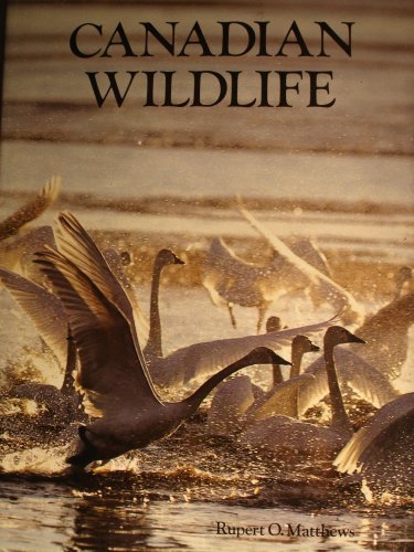 Stock image for Canadian Wildlife for sale by AwesomeBooks