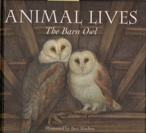 Stock image for Animal Lives: Barn Owl for sale by WorldofBooks