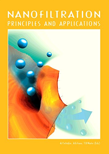 Imagen de archivo de Nanofiltration: Principles and Application a la venta por Revaluation Books