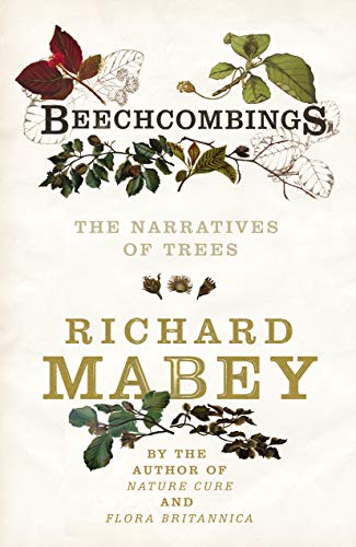 9781856197335: Beechcombings: The narratives of trees