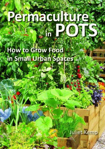 9781856230971: Permaculture in Pots: How to Grow Food in Small Urban Spaces
