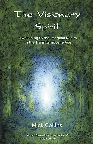 Imagen de archivo de The Visionary Spirit: Awakening to the Imaginal Realm in the Transformocene Age a la venta por Books From California