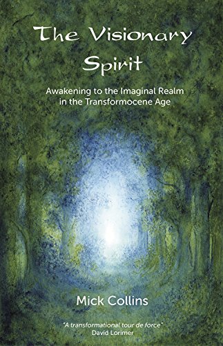 Stock image for The Visionary Spirit: Awakening to the Imaginal Realm in the Transformocene Age for sale by Books From California