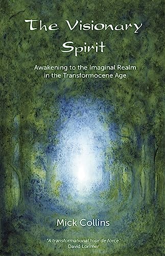 Stock image for The Visionary Spirit: Awakening to the Imaginal Realm in the Transformocene Age for sale by ThriftBooks-Dallas