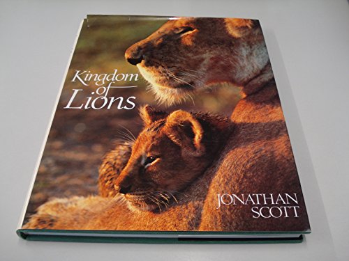 9781856260619: Kingdom of Lions