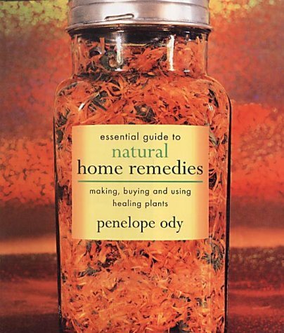 Beispielbild fr Essential Guide to Natural Home Remedies zum Verkauf von AwesomeBooks